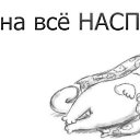 ���� ���������, ��������, 30 ��� - ��������� 12 ����� 2014 � ������ ������ ��������