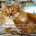 ���� ����, ������ - ��������� 5 ������� 2013 � ������ ���� ����������