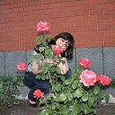  , -, 44  -  12  2013    