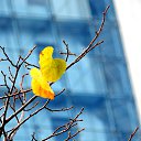 ���� �����, �����, 64 ���� - ��������� 30 ������ 2013 � ������ ��Ψ�