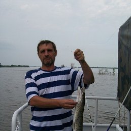 �����, 62 ����, ���������