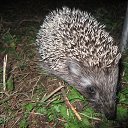 ���� ������� -------, ����������� - ��������� 7 ������� 2014 � ������ �������