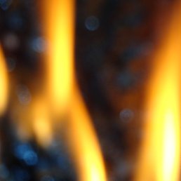 German, ���������, 56 ���