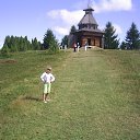 ���� �����, �����, 43 ���� - ��������� 27 ������� 2013 � ������ ����