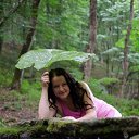 ���� �����, ����������, 41 ��� - ��������� 1 ������ 2013