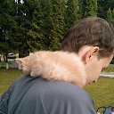  D.s., , 38  -  2  2013   12  2013, 