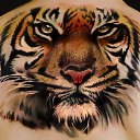 ���� Tatto, ������, 47 ��� - ��������� 4 ������� 2013 � ������ ���� ����������
