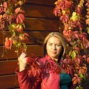 ���� Nata, ���������� - ��������� 12 ������� 2013 � ������ ���� ����������