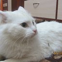 ���� ���� Beautiful, ������� - ��������� 14 ������� 2013 � ������ ���� ������� ���