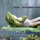 ���� Faya, ����, 48 ��� - ��������� 21 ������ 2013 � ������ ���� ����������