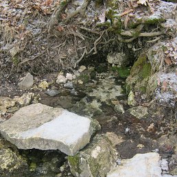 ���� ����, ������, 44 ���� - ��������� 2 ����� 2014