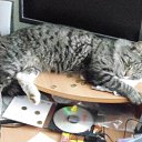 ���� �������, ������ ��������, 53 ���� - ��������� 10 ������� 2014 � ������ ���� ����������