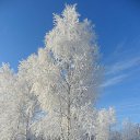 ���� �������, ����, 52 ���� - ��������� 6 �������� 2013 � ������ ���� ����������