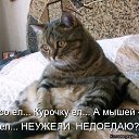 ���� ������, ���, 55 ��� - ��������� 24 ������� 2013