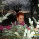 ���� �������, ����� - ��������� 19 ������ 2013 � ������ ���� ����������