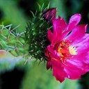 ���� �������, ������ - ��������� 6 ������� 2013 � ������ ���� ����������