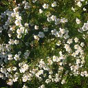 ���� �������, ������� - ��������� 28 ������� 2014 � ������ ������ ��������