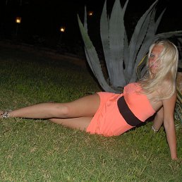 �����, �����-���������, 40 ���