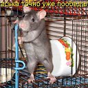 ���� ����������, ������, 48 ��� - ��������� 7 ������� 2013 � ������ �����������
