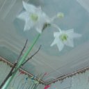 ���� ������, �����, 56 ��� - ��������� 11 ������� 2013 � ������ ���� ����������