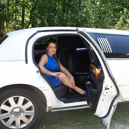 ���� ������, ������ �����, 41 ��� - ��������� 17 ������� 2013
