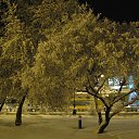 ���� �����, ������� - ��������� 25 ������� 2014 � ������ ������ ��������