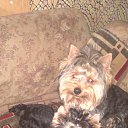 ���� �����, ��������� - ��������� 28 ������� 2013 � ������ ���� ��������