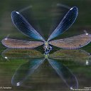 ���� Natal��, ������ ��� - ��������� 15 ������� 2014 � ������ ������ ��������