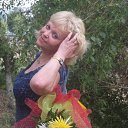 ���� ������, ����-���, 66 ��� - ��������� 12 ������� 2013 � ������ ���� ����������