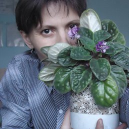 ���� ����������, ������, 48 ��� - ��������� 18 ������ 2013