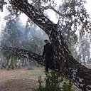 ���� ������, ������������ - ��������� 4 ������ 2013 � ������ ���� ����������