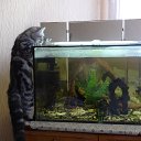 ���� ������, ������, 51 ��� - ��������� 6 ������ 2014 � ������ ���� ����������