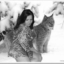 ���� �����, �����������, 51 ��� - ��������� 30 ������� 2013 � ������ ���� ����������