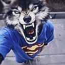 ���� ������, ������, 35 ��� - ��������� 10 ������ 2014