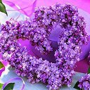 ���� M����, ����� - ��������� 15 ������ 2014 � ������ ������ ��������