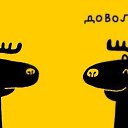  , -, 36  -  14  2013    