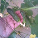 ������ ������� �� ������. �� ������� ���� ����������