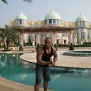  , -, 50  -  11  2014    2013