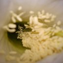 ���� �������, ����������� - ��������� 6 ������ 2013 � ������ ���� ������ ���