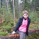 ���� ������, �����������, 49 ��� - ��������� 15 ������� 2013 � ������ ���� ����������