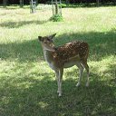 ���� �������, ����������� - ��������� 3 ������ 2013 � ������ ���� ������ �������� (��������, �������)�