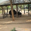 ���� ������, ������, 58 ��� - ��������� 26 ������� 2013 � ������ ���� ����������