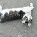 ���� ���������, ���������������, 61 ��� - ��������� 3 ������� 2014 � ������ �������