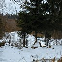 � ���� �� ������� ������������� �����