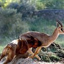 ���� ������� �������, �������, 60 ��� - ��������� 20 ������ 2013 � ������ ���� ����������