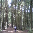 ���� Valera, �����, 52 ���� - ��������� 3 �������� 2013 � ������ ���� ����������