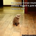 ���� �, �������, 42 ���� - ��������� 15 ������ 2014 � ������ ���� ����������