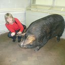 ���� �����, ������ - ��������� 5 ������� 2014