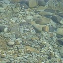 ����� ������� � ����� ������ ���� �� ������� ���� ����������