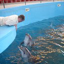 ���� Angelo, ������, 54 ���� - ��������� 25 �������� 2013 � ������ ���� ����������